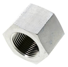 1'' NPT Verzinkt Stalen Plug met Buitenzeskant 140 Bar