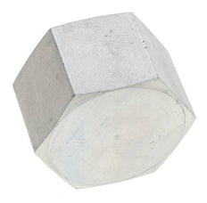 1 1/4'' NPT Verzinkt Stalen Plug met Buitenzeskant 80 Bar