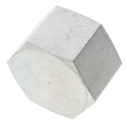 1 1/4'' NPT Verzinkt Stalen Plug met Buitenzeskant 80 Bar