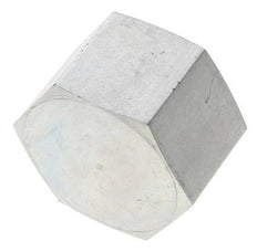 1 1/4'' NPT Verzinkt Stalen Plug met Buitenzeskant 80 Bar