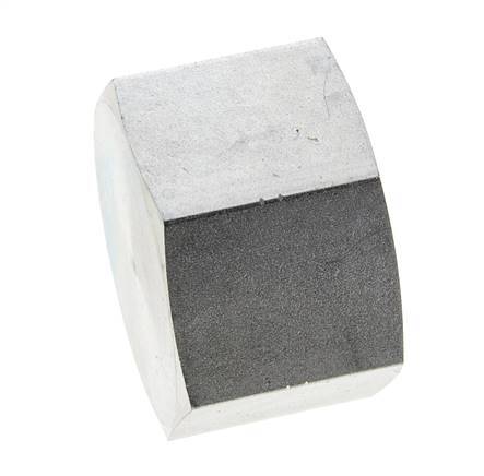 1 1/4'' NPT Verzinkt Stalen Plug met Buitenzeskant 80 Bar