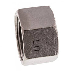3/4'' NPT RVS Afsluitkap 16 Bar
