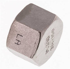 3/4'' NPT RVS Afsluitkap 16 Bar