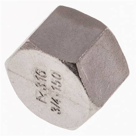 3/4'' NPT RVS Afsluitkap 16 Bar