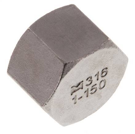 1'' NPT RVS Afsluitkap 16 Bar