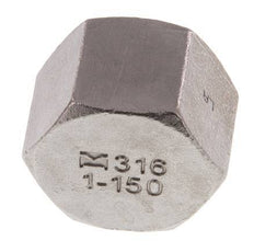 1'' NPT RVS Afsluitkap 16 Bar