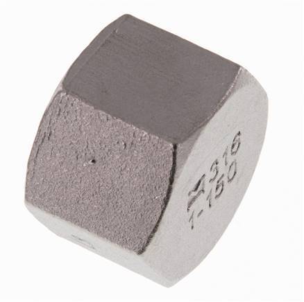 Rp 1'' RVS Afsluitkap 16 Bar