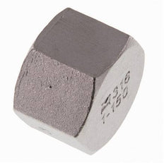Rp 1'' RVS Afsluitkap 16 Bar