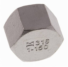 Rp 1'' RVS Afsluitkap 16 Bar
