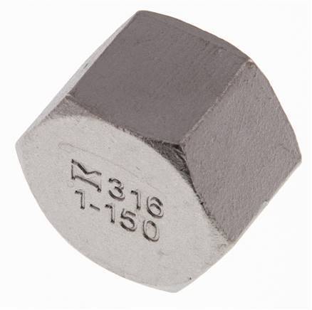 Rp 1'' RVS Afsluitkap 16 Bar