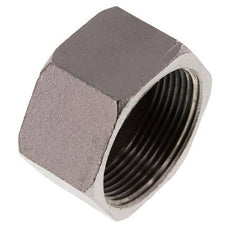 1 1/2'' NPT RVS Afsluitkap 16 Bar