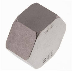 1 1/2'' NPT RVS Afsluitkap 16 Bar