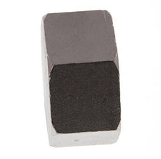 1 1/2'' NPT RVS Afsluitkap 16 Bar