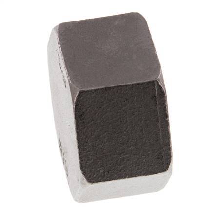 Rp 1 1/2'' RVS Afsluitkap 16 Bar