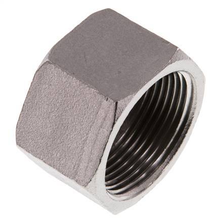 1 1/4'' NPT RVS Afsluitkap 16 Bar