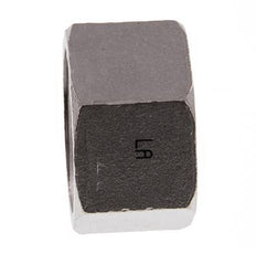 1 1/4'' NPT RVS Afsluitkap 16 Bar