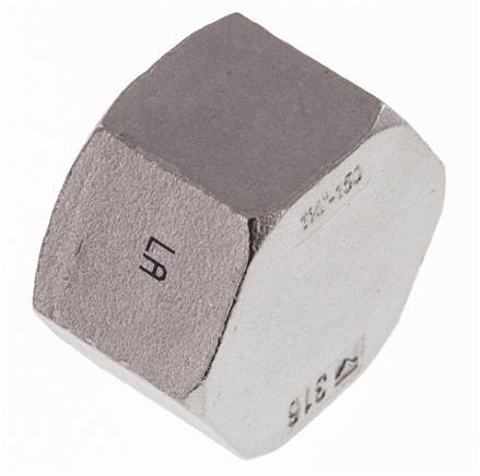 1 1/4'' NPT RVS Afsluitkap 16 Bar