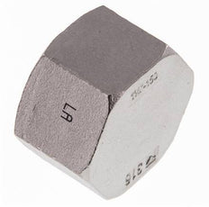 1 1/4'' NPT RVS Afsluitkap 16 Bar