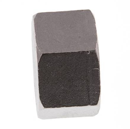 1 1/4'' NPT RVS Afsluitkap 16 Bar