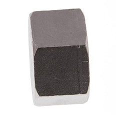 1 1/4'' NPT RVS Afsluitkap 16 Bar