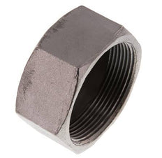 2'' NPT RVS Afsluitkap 16 Bar