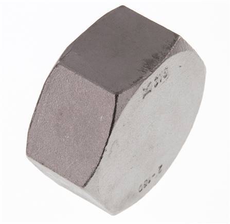 2'' NPT RVS Afsluitkap 16 Bar