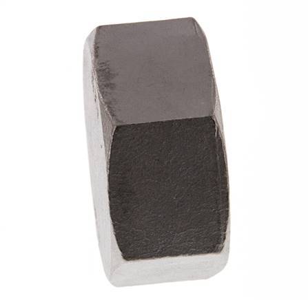 2'' NPT RVS Afsluitkap 16 Bar