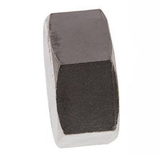 2'' NPT RVS Afsluitkap 16 Bar