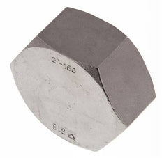 Rp 2'' RVS Afsluitkap 16 Bar