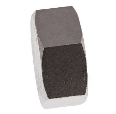 Rp 2'' RVS Afsluitkap 16 Bar