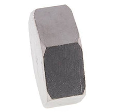 2 1/2'' NPT RVS Afsluitkap 16 Bar