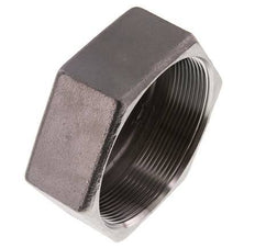 Rp 3'' RVS Afsluitkap 16 Bar