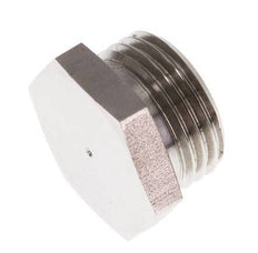 G 1/2'' RVS Plug met Buitenzeskant 40 Bar