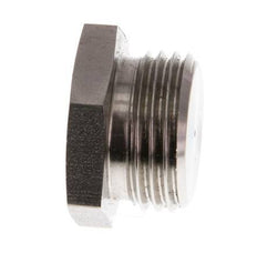 G 1/2'' RVS Plug met Buitenzeskant 40 Bar
