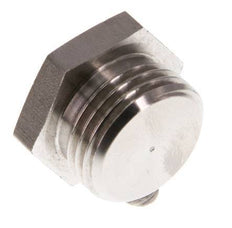 G 1/2'' RVS Plug met Buitenzeskant 40 Bar