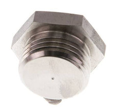 G 1/2'' RVS Plug met Buitenzeskant 40 Bar