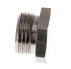 G 1/2'' RVS Plug met Buitenzeskant 40 Bar