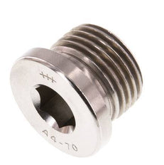 G 1/2'' RVS Plug met Binnenzeskant 40 Bar