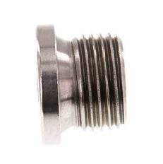 G 1/2'' RVS Plug met Binnenzeskant 40 Bar