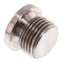 G 1/2'' RVS Plug met Binnenzeskant 40 Bar