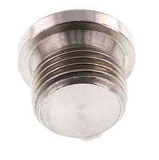 G 1/2'' RVS Plug met Binnenzeskant 40 Bar