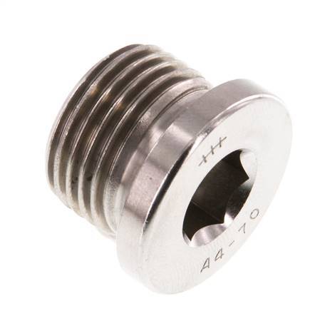 G 1/2'' RVS Plug met Binnenzeskant 40 Bar