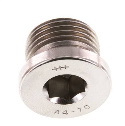 G 1/2'' RVS Plug met Binnenzeskant 40 Bar