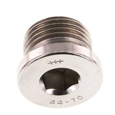 G 1/2'' RVS Plug met Binnenzeskant 40 Bar