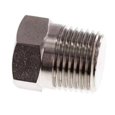 1/2'' NPT Buitendraad RVS Plug met Buitenzeskant 210 Bar