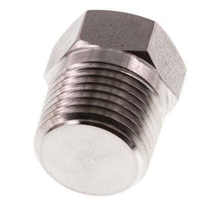 1/2'' NPT Buitendraad RVS Plug met Buitenzeskant 210 Bar