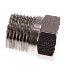 1/2'' NPT Buitendraad RVS Plug met Buitenzeskant 210 Bar