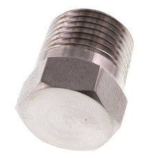 1/2'' NPT Buitendraad RVS Plug met Buitenzeskant 210 Bar