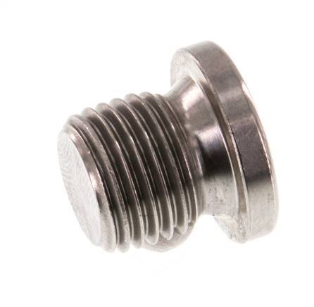 G 1/4'' RVS Plug met Binnenzeskant 40 Bar