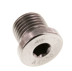 G 1/4'' RVS Plug met Binnenzeskant 40 Bar